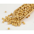 Soybean Seeds Soybean Factory